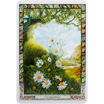 Ielādēt attēlu galerijas skatītājā, The Druid Plant Orākuls
