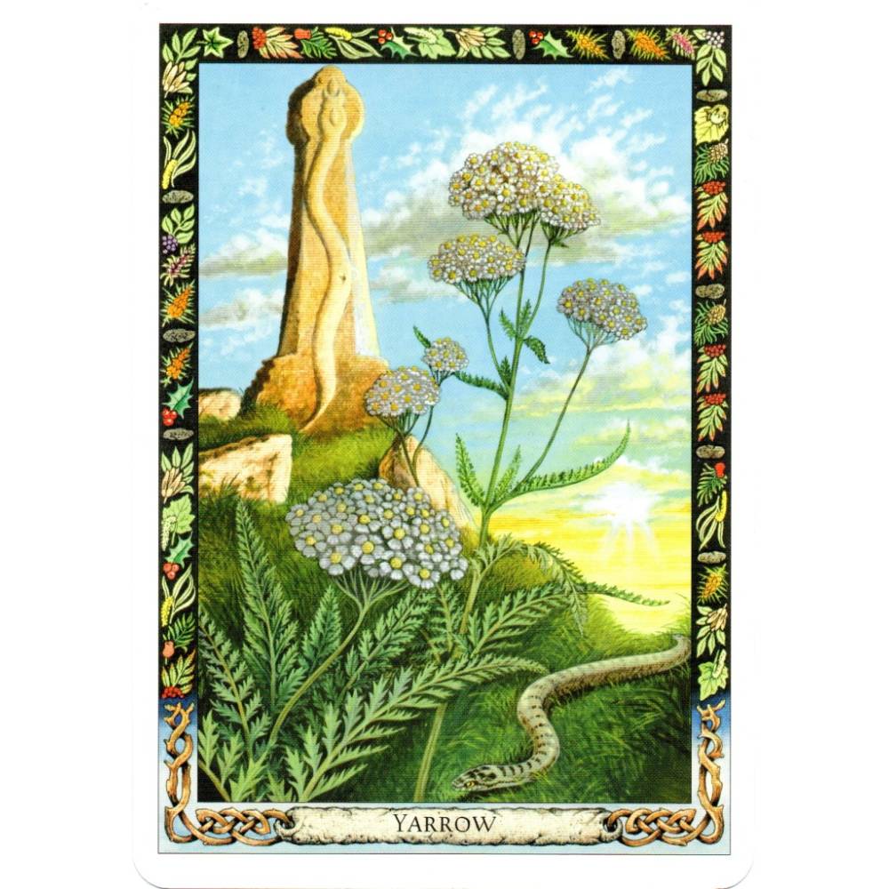 The Druid Plant Orākuls