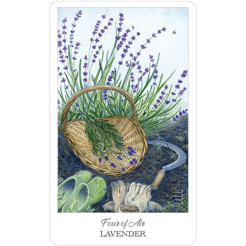 The Herbcrafter`s Tarot Cards