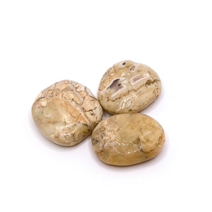 Stone Merlinite or Dendritic Opal Chakra stone