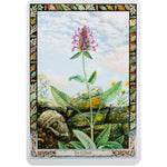 Load image into Gallery viewer, The Druid Plant Oracle
