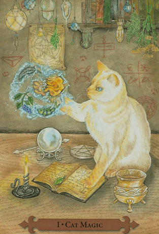 Mystical Cats Taro Kārtis