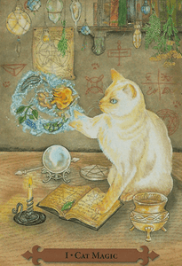 Mystical Cats Tarot Cards