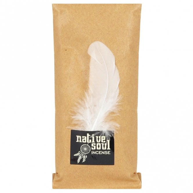 Backflow Dhoop Cones White Sage & Dragon's Blood