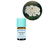 Load image into Gallery viewer, Wild Carrot BIO essential oil, 5g
